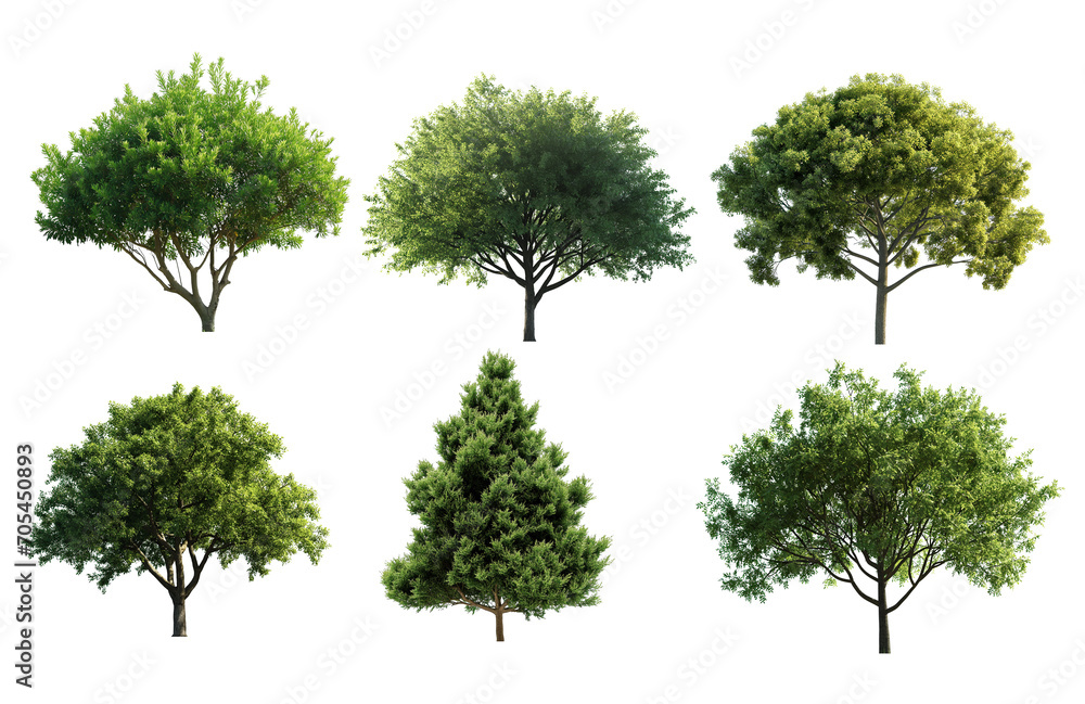 A set of trees on a transparent background.