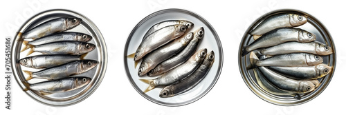 A set of tuna fish on a plate with a transparent background is in the top view. PNG.
