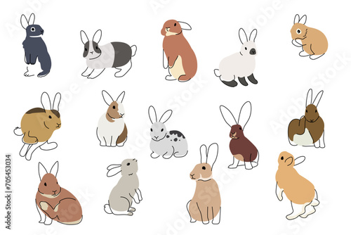 Different Cute Rabbits Icons Vector Illustration photo