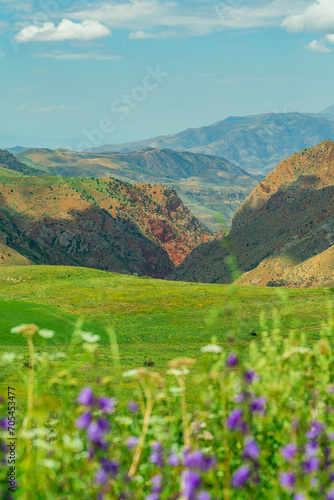 Landscape in the mountains of Armenia against a background of spring flowers