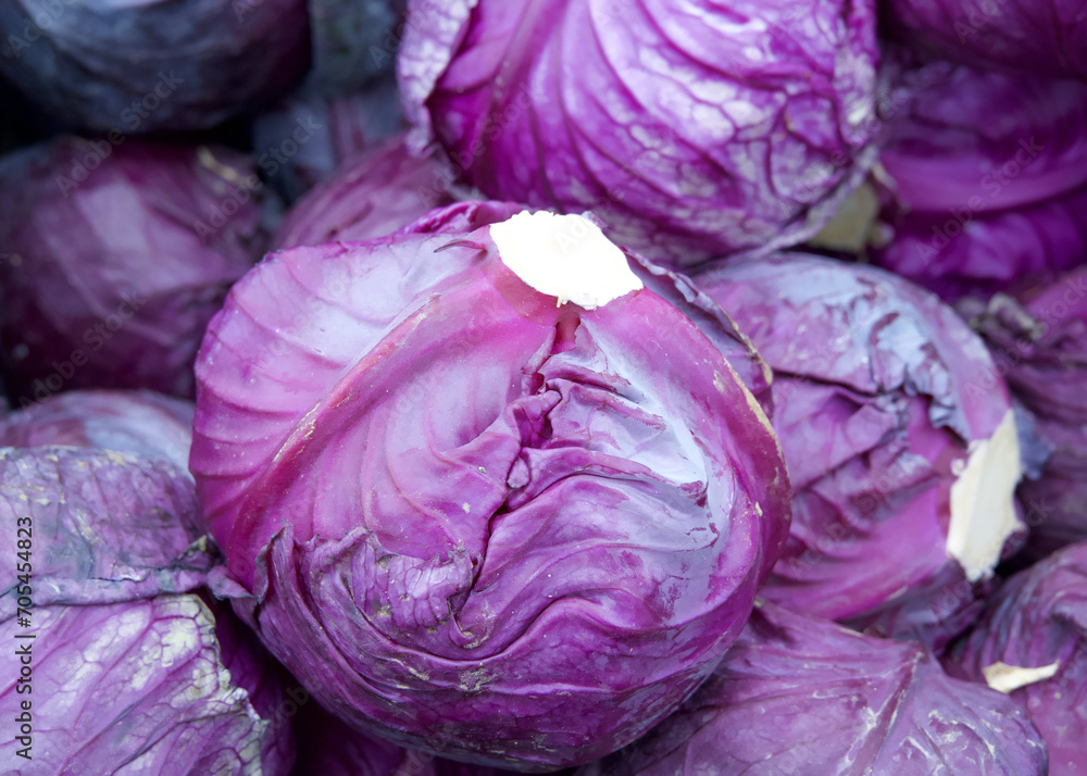 Obraz premium Close up on purple cabbage heads on display at Farmer's Market. Purple cabbage, also referred to as red cabbage, belongs to the Brassica genus of plants.