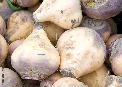 Close up on pile of Rutabagas on display at Farmer's Market. Rutabaga or swede is a root vegetable, a form of Brassica napus. Other names include Swedish turnip, neep, and turnip.