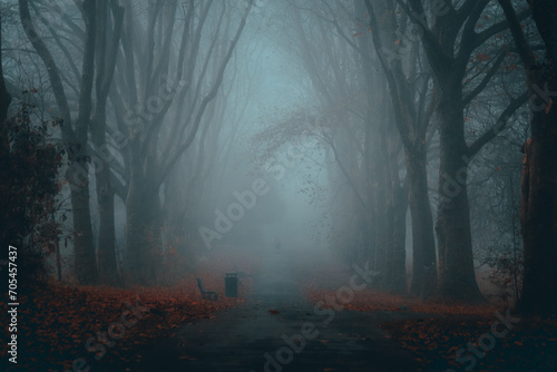 St George Park in Bristol, England