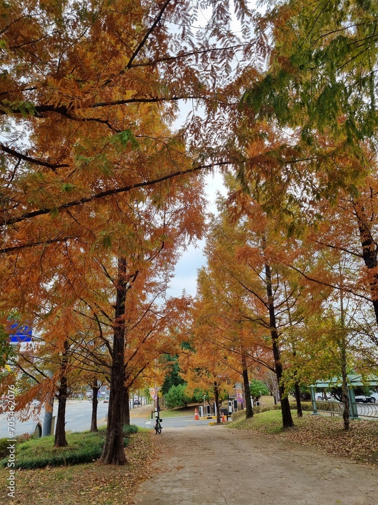 autumn in the park