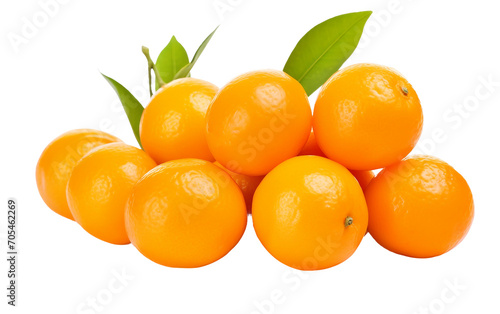 A Glimpse into the World of Fresh Orange Kumquats Featuring Edible Peel Isolated on Transparent Background PNG.
