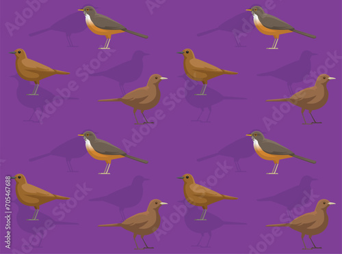 Bird Rufous-Bellied Thrush Cute Seamless Wallpaper Background