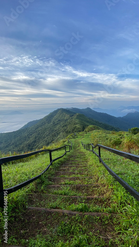 Mountain forest landscape in morning light at sunrise in national park Vertical image format