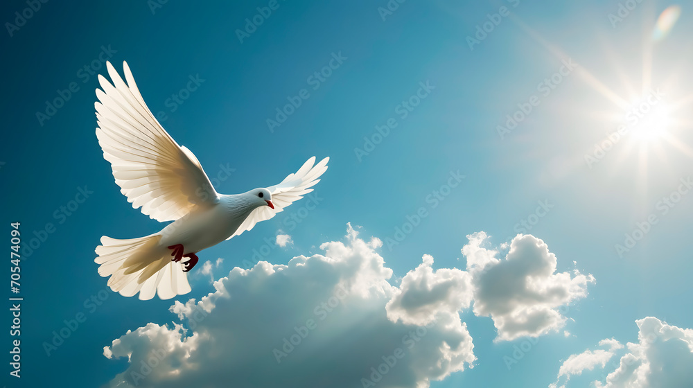 Obraz premium White dove flying. Peace, Holy Spirit on blue sky