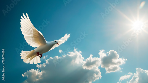 White dove flying. Peace, Holy Spirit on blue sky