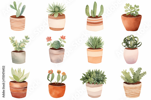 Watercolor from a cute succulent pot plants on white background.