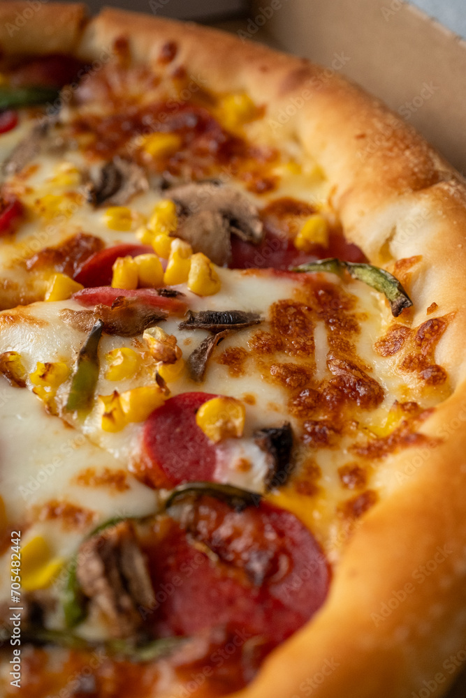 pizza with salami and cheese pizza with salami and cheese