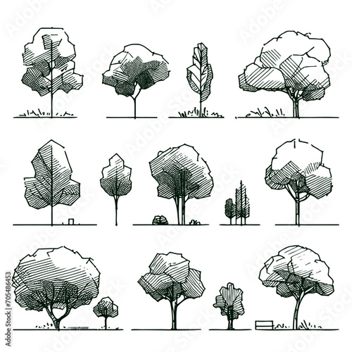 Set hand drawn architect tree sketches. Perfect for architectural illustration landscape