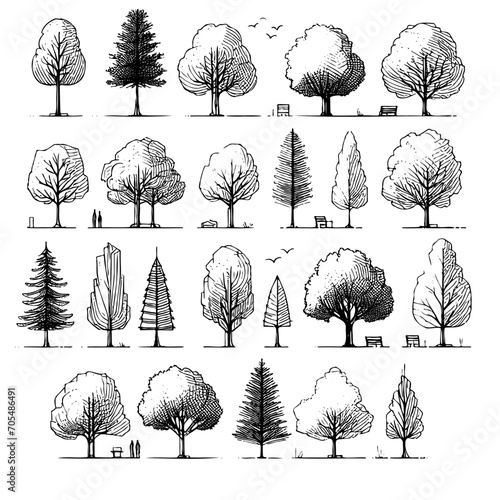 Line vector illustration rough hand drawn sketch tree perfect for architectural design presentations. photo