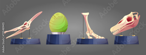 Historical archaeological museum exhibit elements on stand. Cartoon vector illustration set of dinosaur skeleton bones, skull and egg of prehistoric animals. Paleontology artifact of jurassic period.