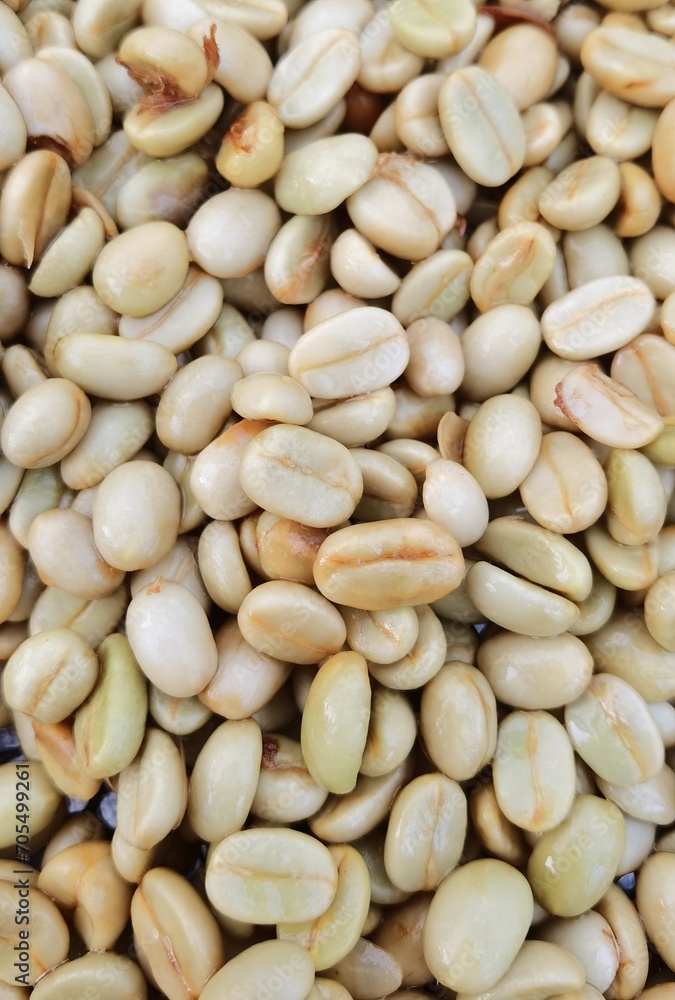 Close up of coffee beans for background                                                               