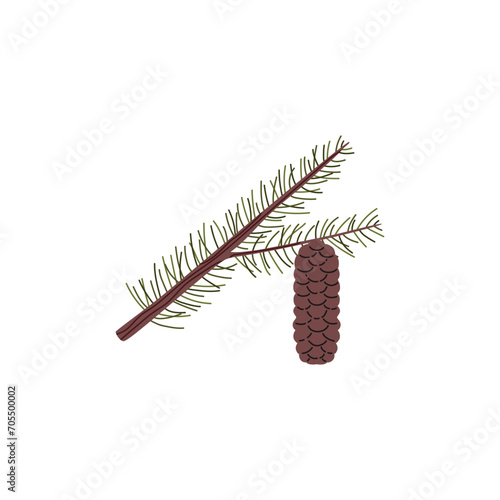 Branch of conifer tree with needles and cone, taiga evergreen pine tree fir, cedar or spruce twig, vector forest plant