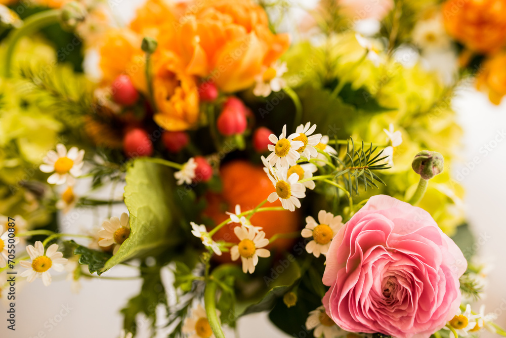 Obraz premium Colorful arrangement of flower blossoms