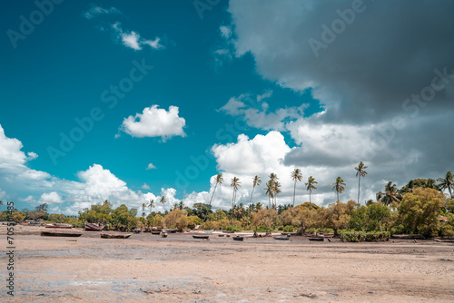 Tropical beach with rocks, lush vegetation on Pemba Island photo