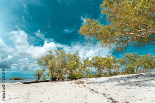 Tropical beach with rocks, lush vegetation on Pemba Island