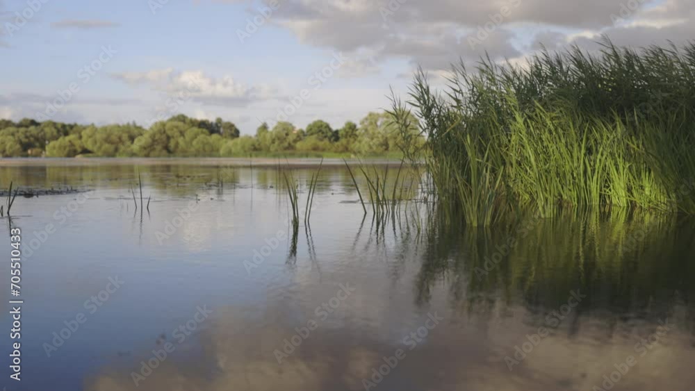 A slow motion moving view of a lake with water plants and a reflection of the blue sky and some clouds A slow motion moving view of a lake with water plants and a reflection of the blue sky and some clouds