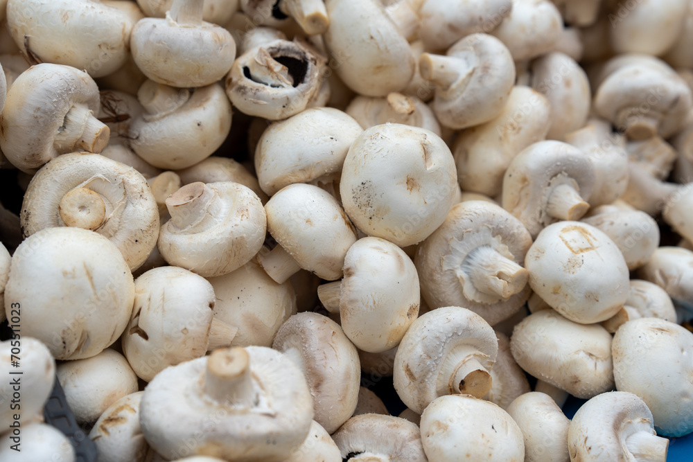 Close up of champignon mushrooms for sale in the market. Close up of champignon mushrooms for sale in the market.