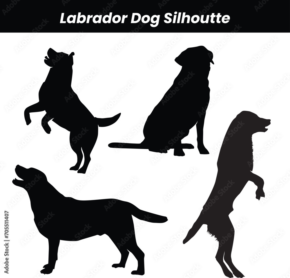 Vector silhouette of a dog on a white background