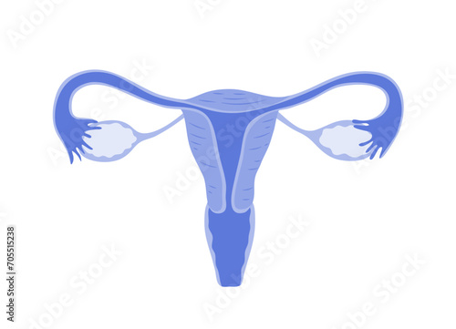 Isolated of a womb in flat vector illustration.