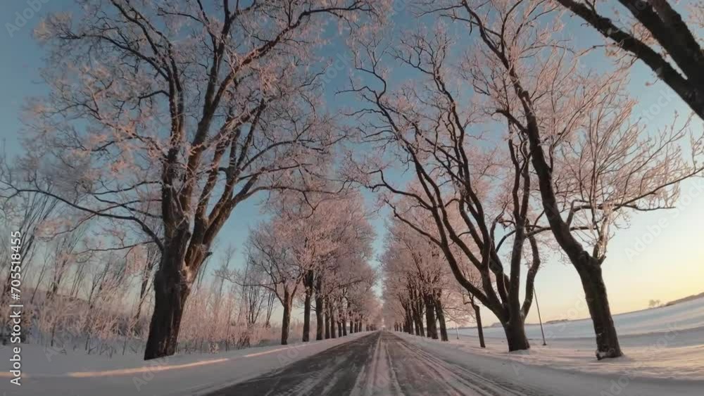 Along scenic winter road surrounded by frost-covered trees in the evening sunlight. Along scenic winter road surrounded by frost-covered trees in the evening sunlight.