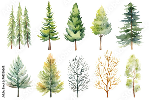 Watercolor painting Cedar tree symbols on a white background. 