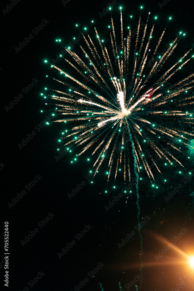 Obraz premium Fireworks