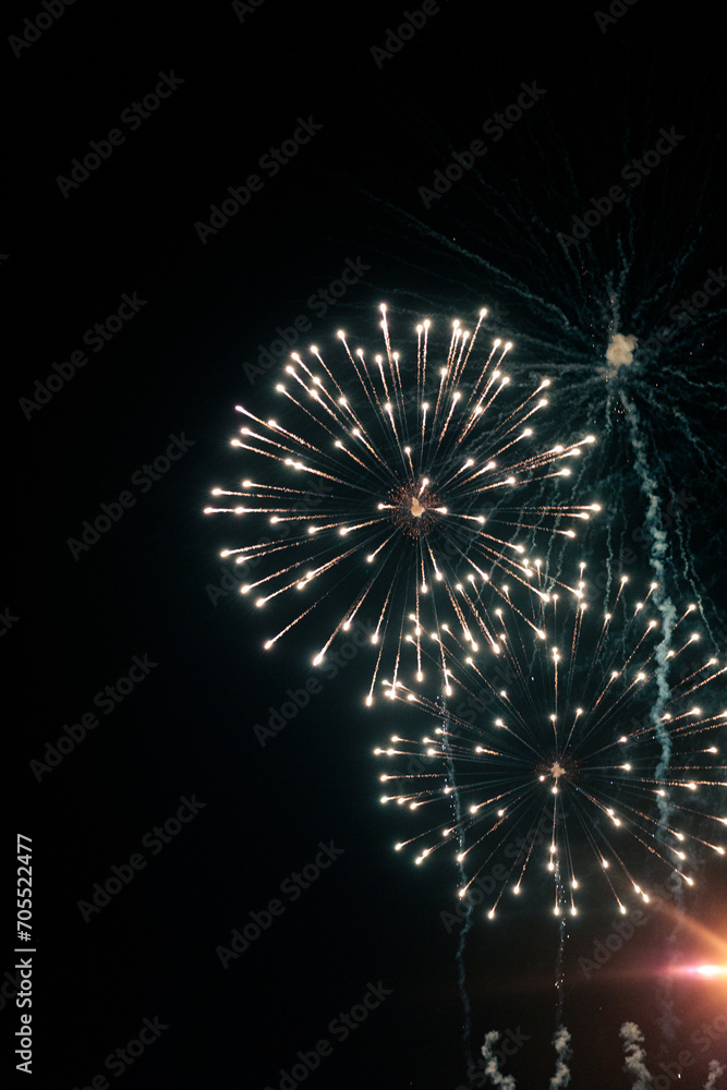 Fototapeta premium Fireworks