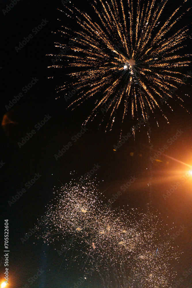 Fototapeta premium Fireworks