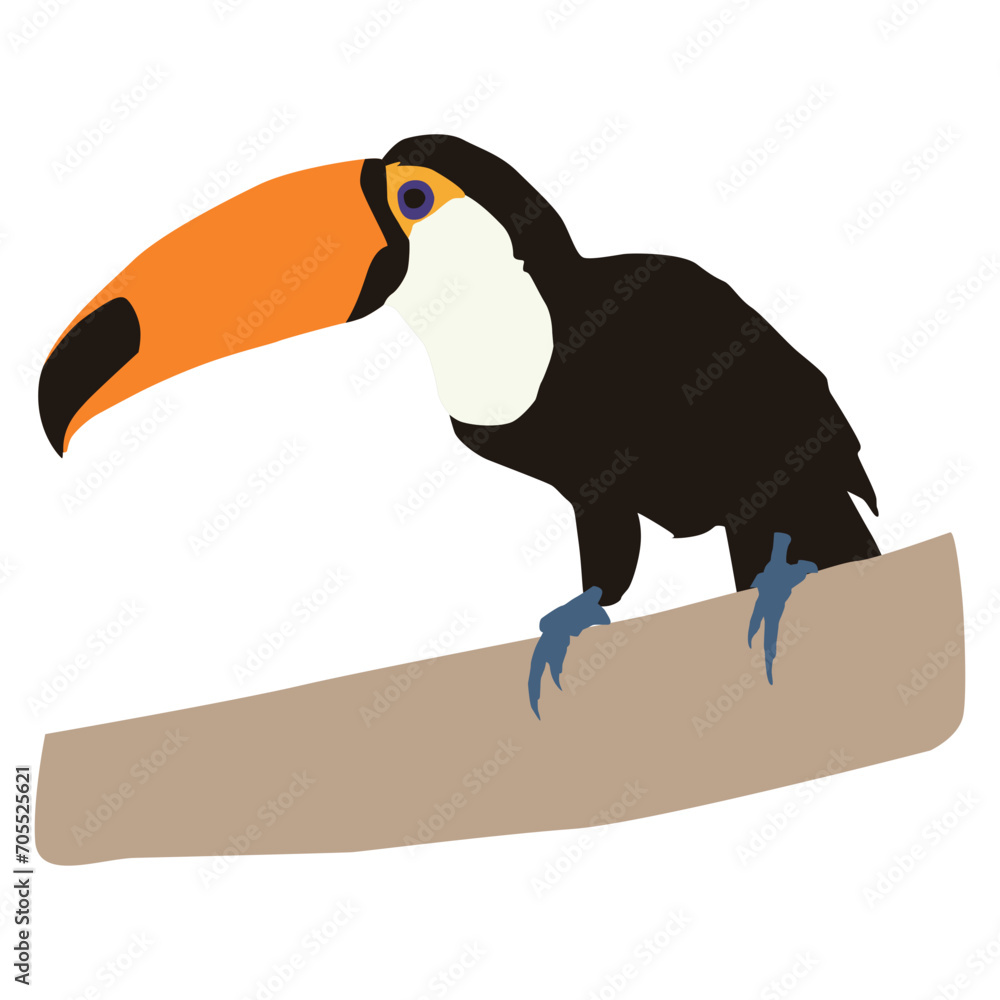 Obraz premium Toco Toucan Bird Element Illustration