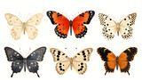 Six butterflies set on clear white background