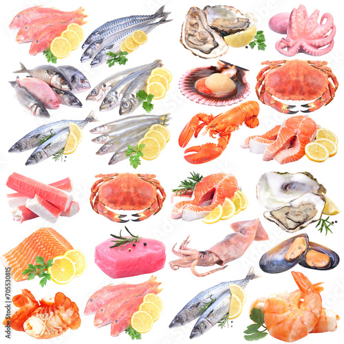 Set of seafood isolated photo
