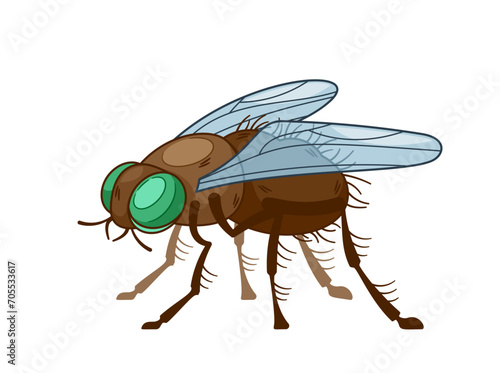 Isolated Insect Fly, Agile, Winged Arthropod With A Distinctive Two-wing Structure. Its Play Vital Role In Ecosystems