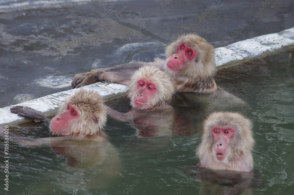 Naklejka premium 温泉