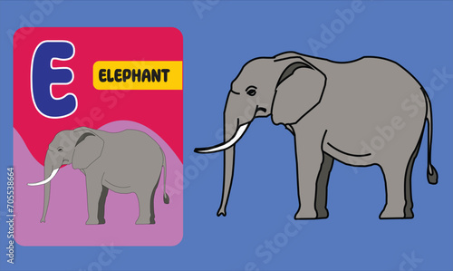 Alphabet cards for kids. Educational preschool learning ABC card with animal and letter cartoon vector illustration set. Flashcards with cute characters and english words placed in alphabetical order.