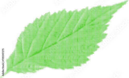 raspberry leaf green isolated on white background