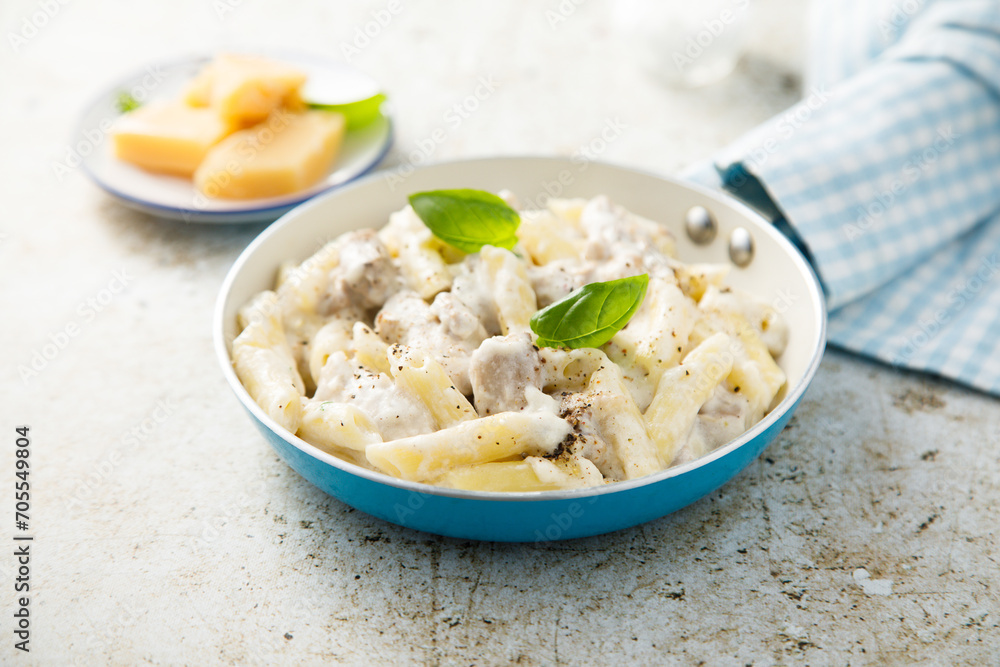 Pasta with chicken and cream sauce Pasta with chicken and cream sauce