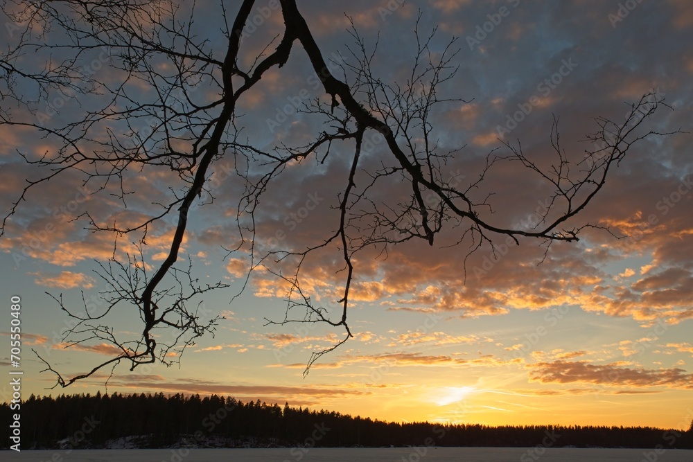 Fototapeta premium Leafless tree branch over frozen lake in winter at sunset.
