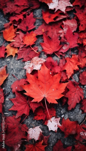 4K Colorful leaf AMOLED Wallpaper for Mobile Created with generative Ai 