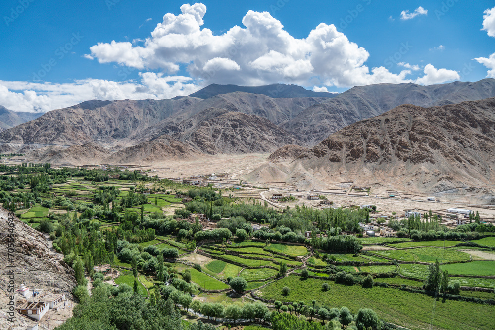 Naklejka premium Beautiful views of the Himalayas, green fields in the mountains, Ladakh