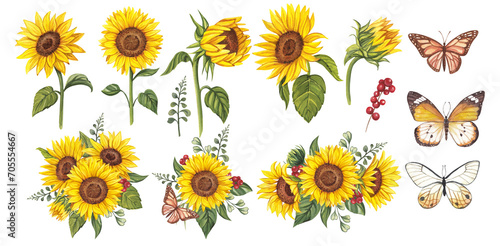 Sunflower and butterflies clipart. Watercolor floral illustrations. Sunflowers bouquet. Yellow flowers for rustic wedding design, thanksgiving decoration. Elements isolated on transparent background