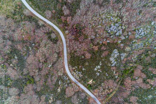 aerial drone view of a mountain road © Vic