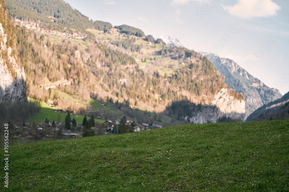 Fototapeta premium Natural landscape background of Europe. Snow-Covered Alps Forest. A Tranquil and Scenic Winter Escape
