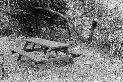 Bench