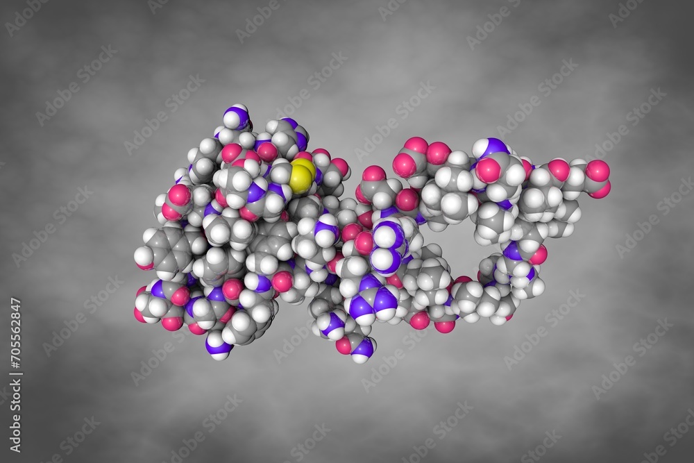 Proinsulin. Space-filling molecular model. Atoms are shown as spheres with conventional color coding: carbon (grey), oxygen (red), hydrogen (white), nitrogen (blue), sulfur (yellow). 3d illustration Proinsulin. Space-filling molecular model. Atoms are shown as spheres with conventional color coding: carbon (grey), oxygen (red), hydrogen (white), nitrogen (blue), sulfur (yellow). 3d illustration