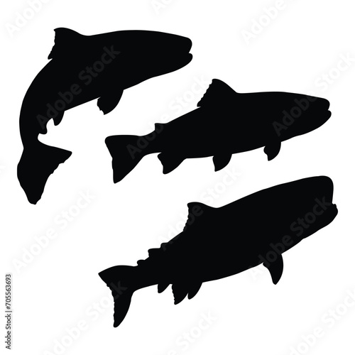 silhouette of salmon fish photo