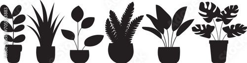 plants in flowerpots set, silhouette on a white background, vector